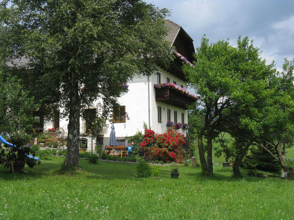 Ferienwohnung Haus Pfarrkirchner Mauterndorf  Exterior foto